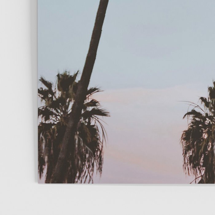 palm trees sunset vi  Poster Gallery Image 3