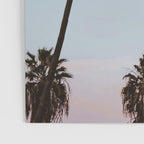 palm trees sunset vi  Poster Gallery Image 3