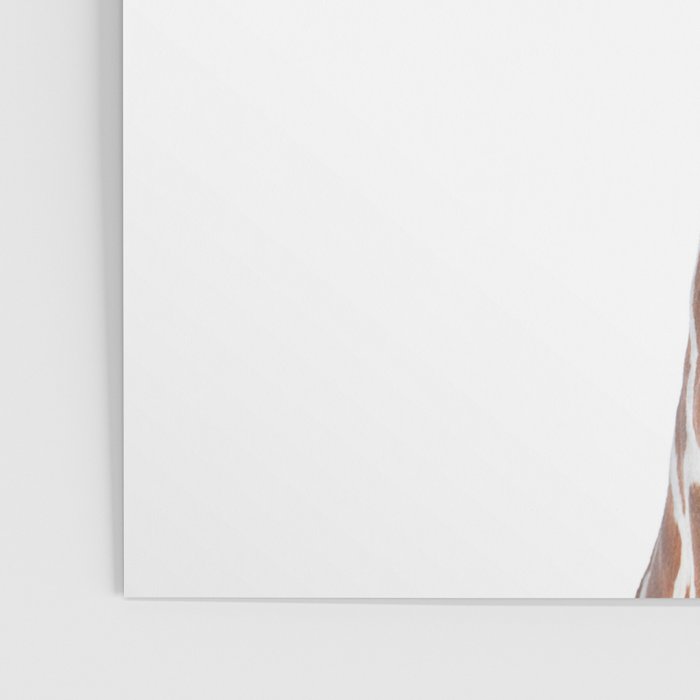 Bubble gum giraffe Poster Gallery Image 3