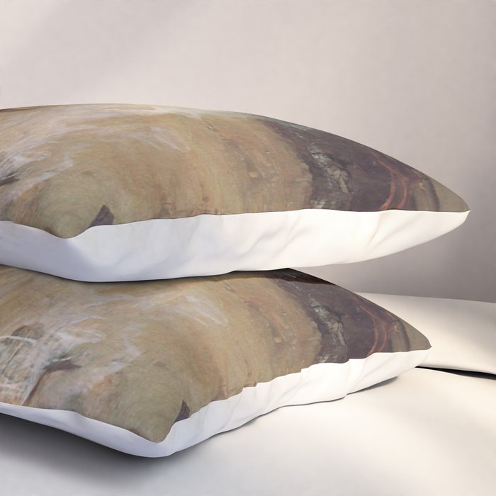 The Magic Circle, John William Waterhouse Pillow Sham Gallery Image 3