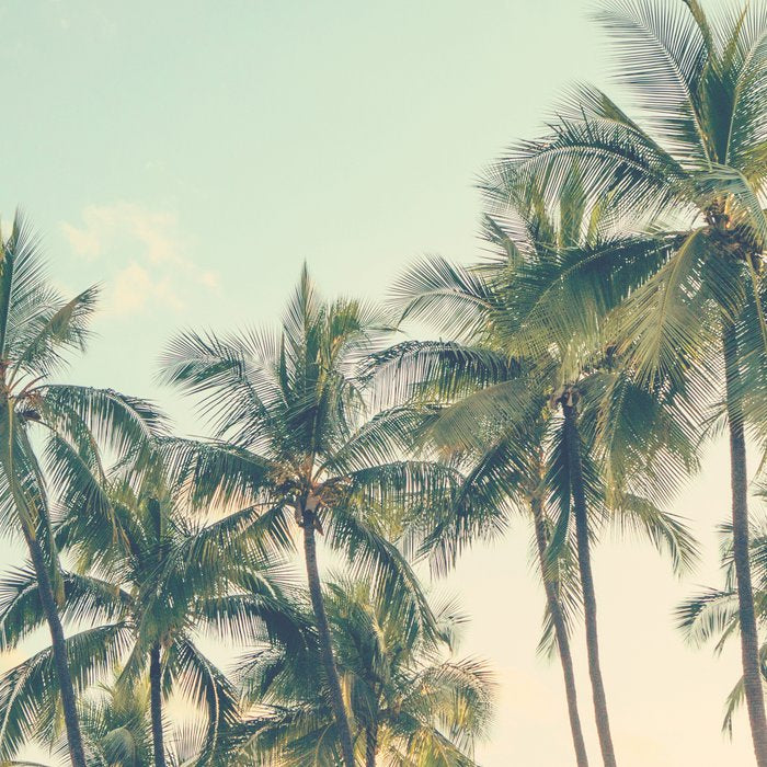 Tropical Skies - Palm Trees, Beach Photography Coffee Mug Gallery Image 2