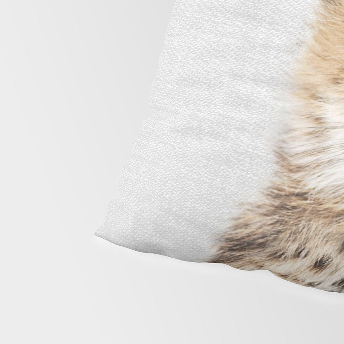 Baby Cheetah - Colorful Pillow Sham Gallery Image 4