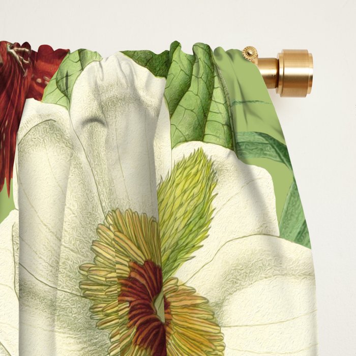 Vintage Garden XVII Window Curtain Gallery Image 2