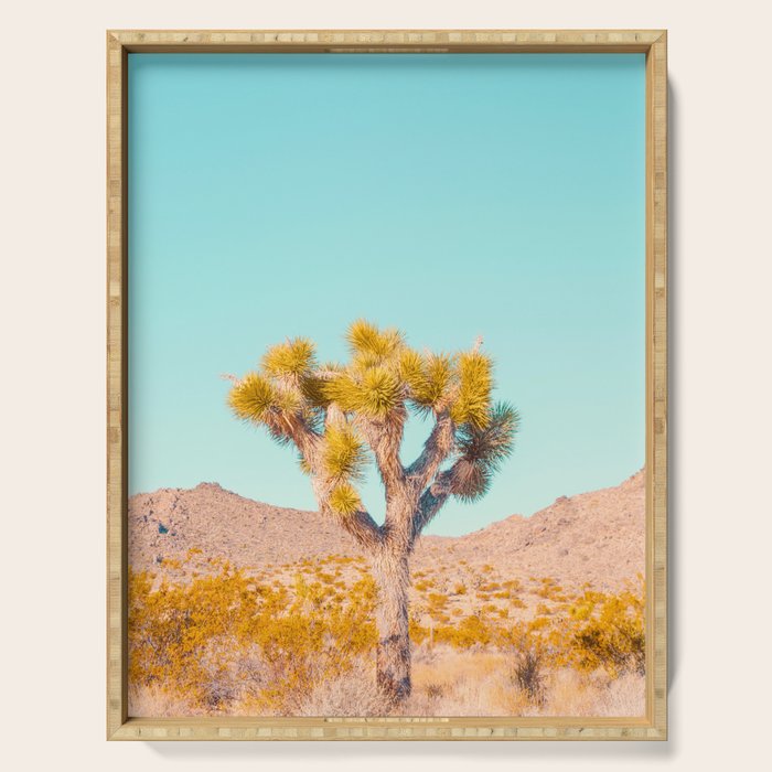 Vivid Desert - Joshua Tree Cactus Serving Tray Gallery Image 1