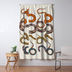 Albertus SEBA four snake scales  Window Curtain Gallery Image 5
