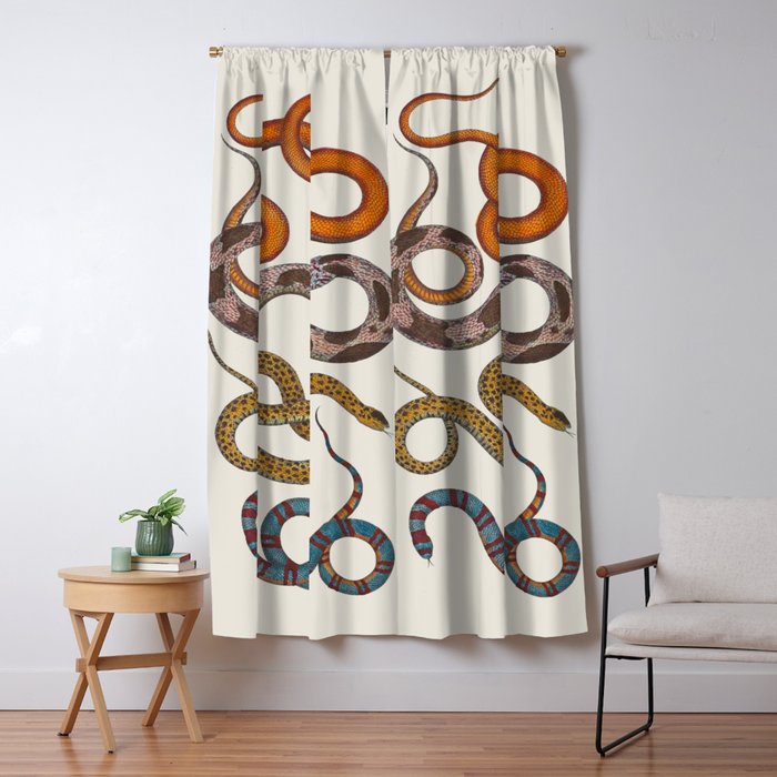 Albertus SEBA four snake scales  Window Curtain Gallery Image 5