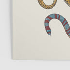 Albertus SEBA four snake scales  Poster Gallery Image 3