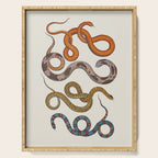 Albertus SEBA four snake scales  Serving Tray Gallery Image 1