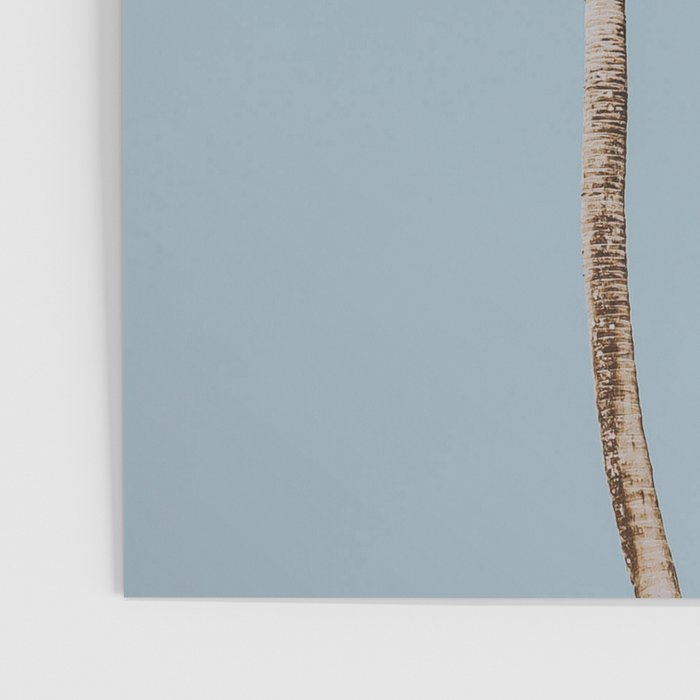 a palm tree iv Poster Gallery Image 3