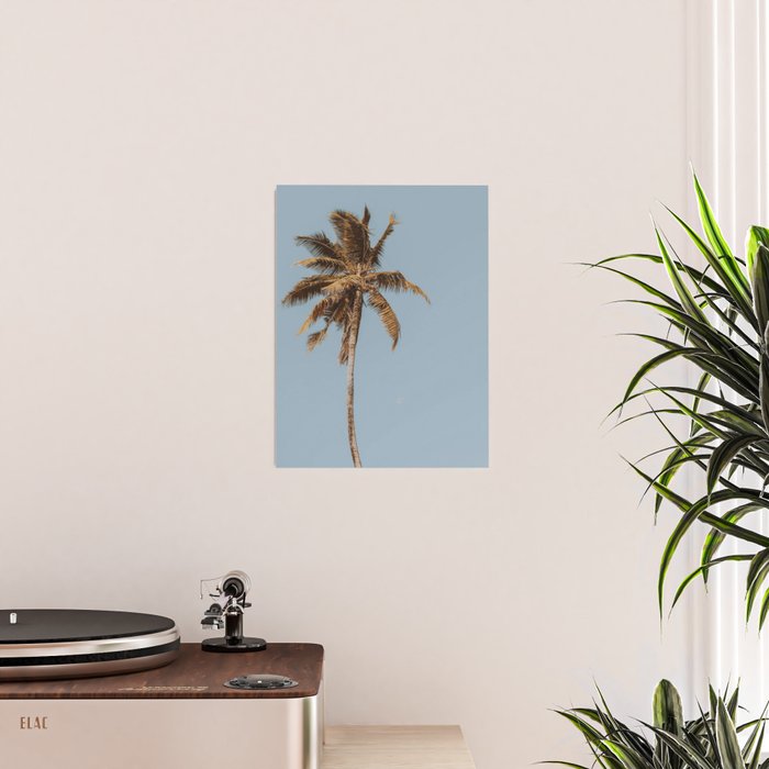 a palm tree iv Poster Gallery Image 2
