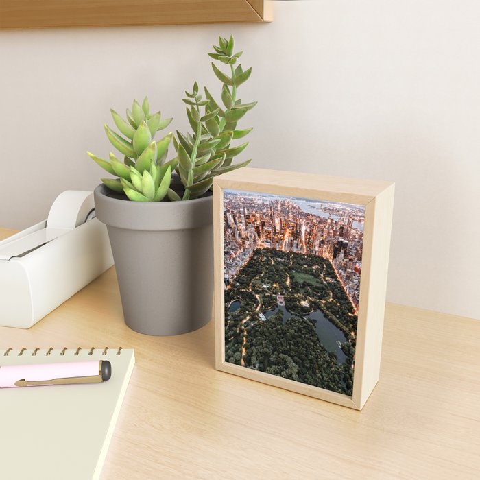 Central Park New York Mini Art Print Gallery Image 2