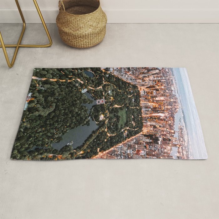 Central Park New York Rug Gallery Image 1