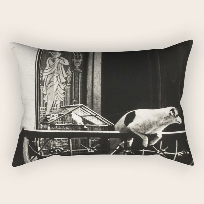 Paris, 1926, Dog out of Window Paris France black and white photograph Rectangular Pillow Gallery Image 1