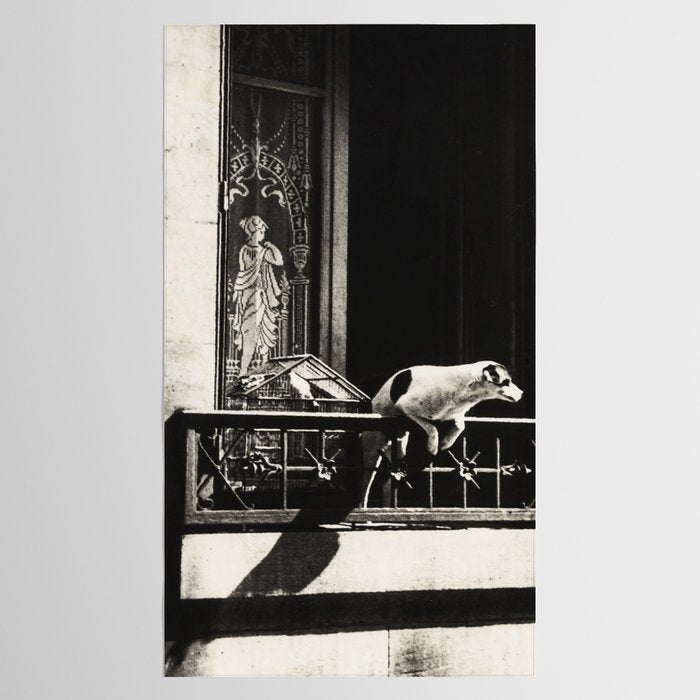 Paris, 1926, Dog out of Window Paris France black and white photograph Tablecloth Gallery Image 2