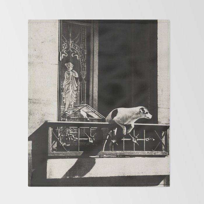 Paris, 1926, Dog out of Window Paris France black and white photograph Throw Blanket Gallery Image 2