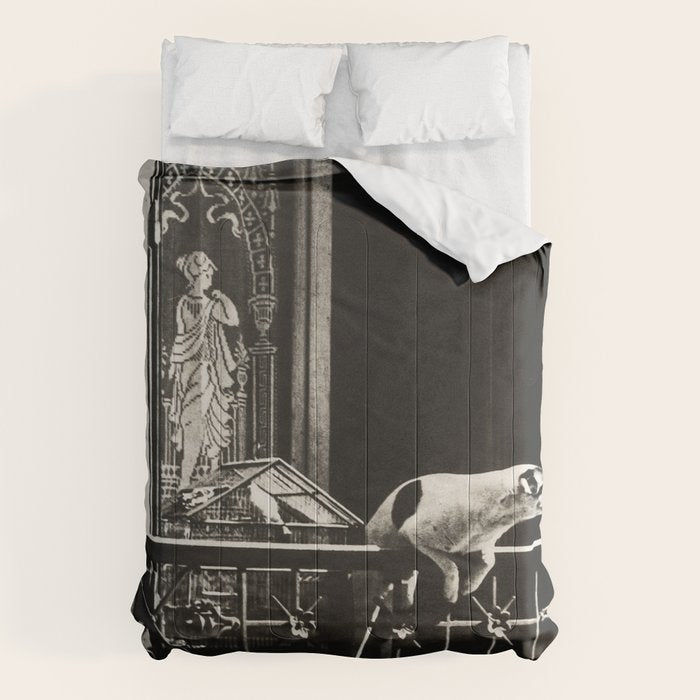 Paris, 1926, Dog out of Window Paris France black and white photograph Comforter Gallery Image 6