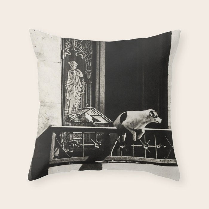 Paris, 1926, Dog out of Window Paris France black and white photograph Throw Pillow Gallery Image 6