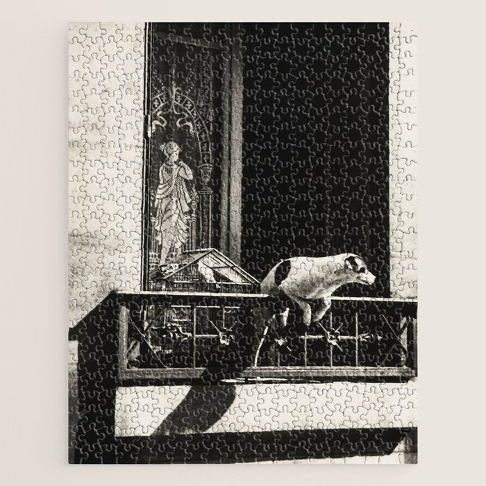 Paris, 1926, Dog out of Window Paris France black and white photograph Jigsaw Puzzle Gallery Image 1