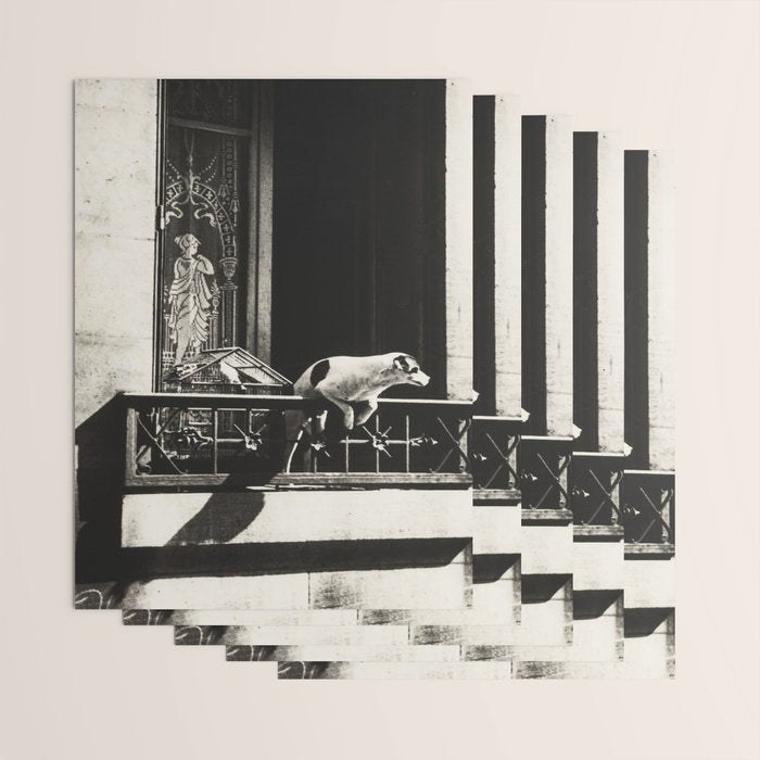 Paris, 1926, Dog out of Window Paris France black and white photograph Wrapping Paper Gallery Image 3