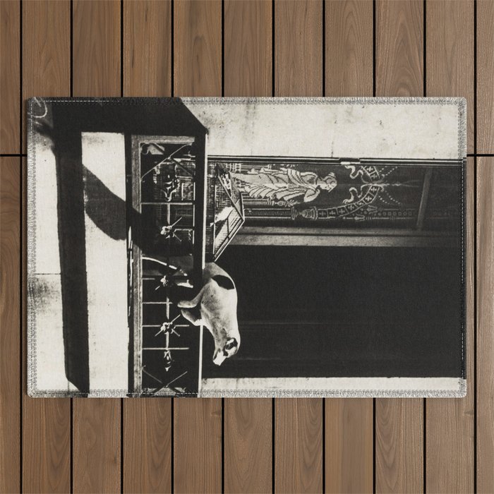 Paris, 1926, Dog out of Window Paris France black and white photograph Outdoor Rug Gallery Image 1
