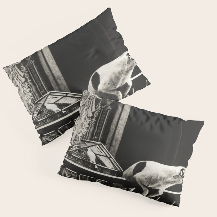Paris, 1926, Dog out of Window Paris France black and white photograph Pillow Sham Gallery Image 1