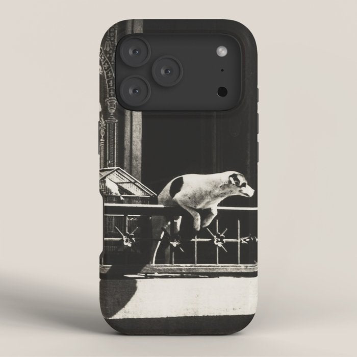 Paris, 1926, Dog out of Window Paris France black and white photograph iPhone Case Gallery Image 3