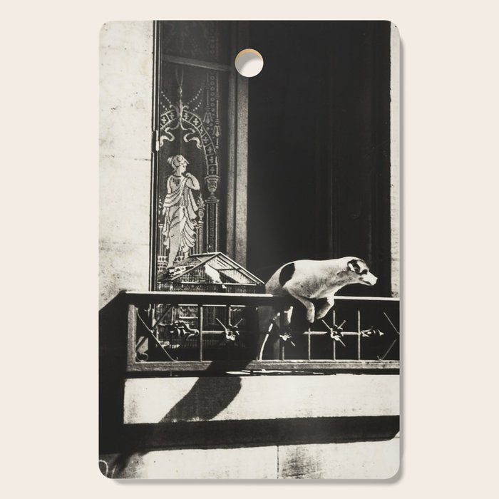 Paris, 1926, Dog out of Window Paris France black and white photograph Cutting Board Gallery Image 1