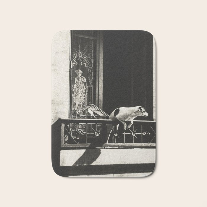 Paris, 1926, Dog out of Window Paris France black and white photograph Bath Mat Gallery Image 1