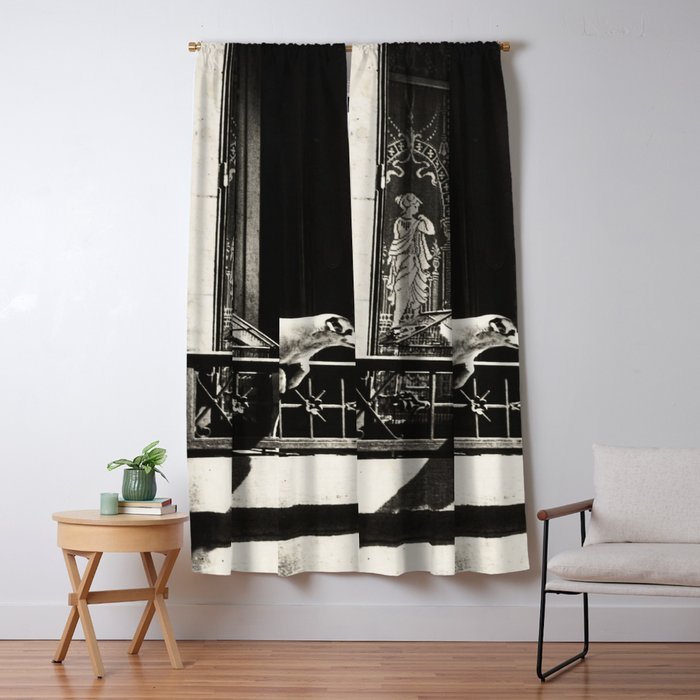 Paris, 1926, Dog out of Window Paris France black and white photograph Window Curtain Gallery Image 5