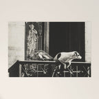 Paris, 1926, Dog out of Window Paris France black and white photograph Welcome Mat Gallery Image 1