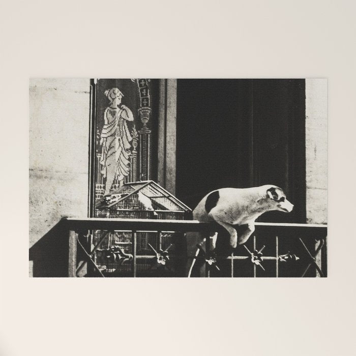 Paris, 1926, Dog out of Window Paris France black and white photograph Welcome Mat Gallery Image 1