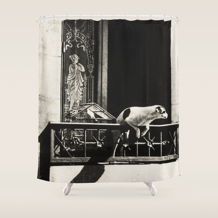 Paris, 1926, Dog out of Window Paris France black and white photograph Shower Curtain Gallery Image 1
