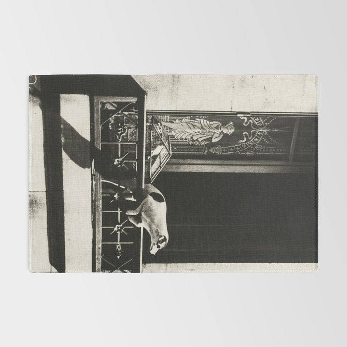 Paris, 1926, Dog out of Window Paris France black and white photograph Rug Gallery Image 2