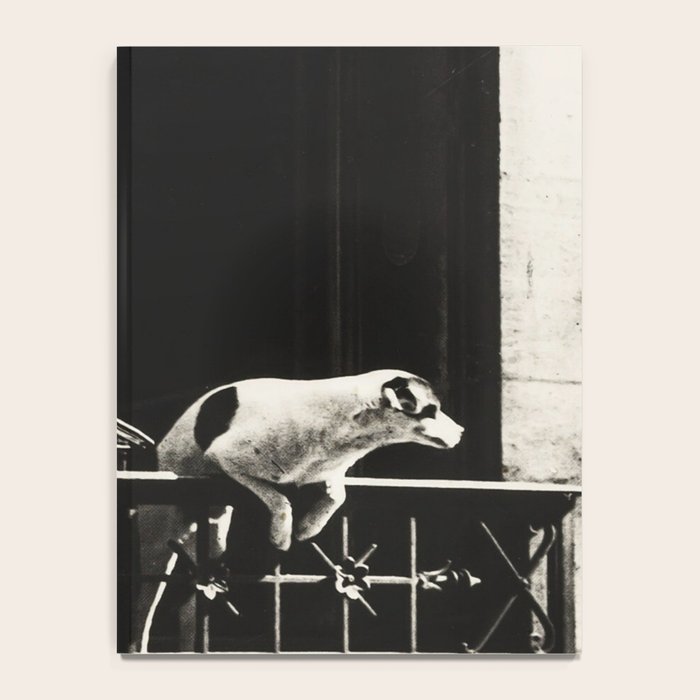 Paris, 1926, Dog out of Window Paris France black and white photograph Notebook Gallery Image 4