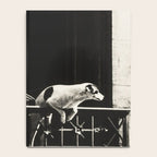 Paris, 1926, Dog out of Window Paris France black and white photograph Notebook Gallery Image 4