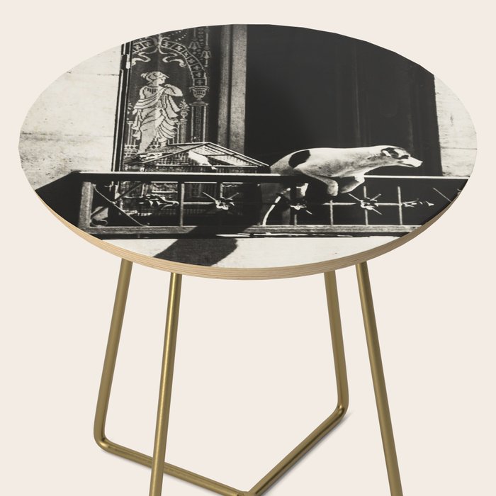 Paris, 1926, Dog out of Window Paris France black and white photograph Side Table Gallery Image 2