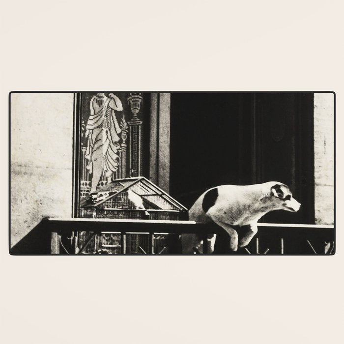Paris, 1926, Dog out of Window Paris France black and white photograph Desk Mat Gallery Image 3