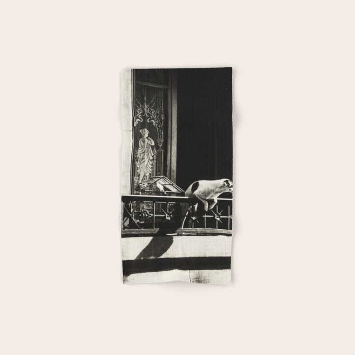 Paris, 1926, Dog out of Window Paris France black and white photograph Bath Towel Gallery Image 1