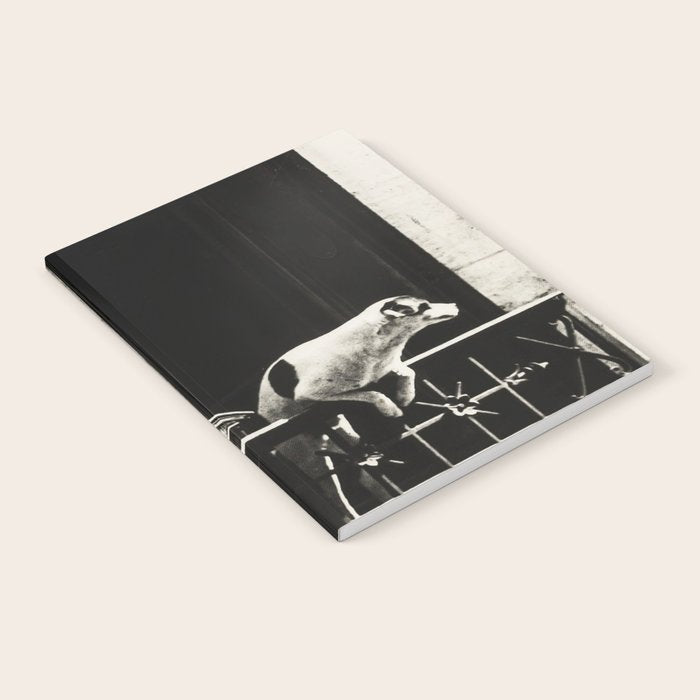 Paris, 1926, Dog out of Window Paris France black and white photograph Notebook Gallery Image 2