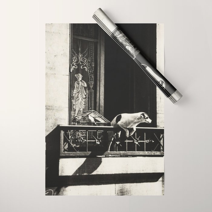 Paris, 1926, Dog out of Window Paris France black and white photograph Wrapping Paper Gallery Image 1