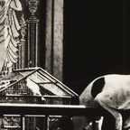Paris, 1926, Dog out of Window Paris France black and white photograph Coffee Mug Gallery Image 2