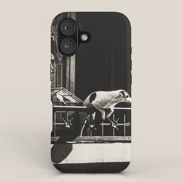 Paris, 1926, Dog out of Window Paris France black and white photograph iPhone Case Gallery Image 1