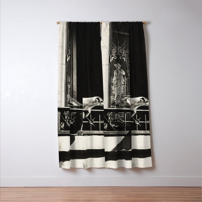 Paris, 1926, Dog out of Window Paris France black and white photograph Window Curtain Gallery Image 3