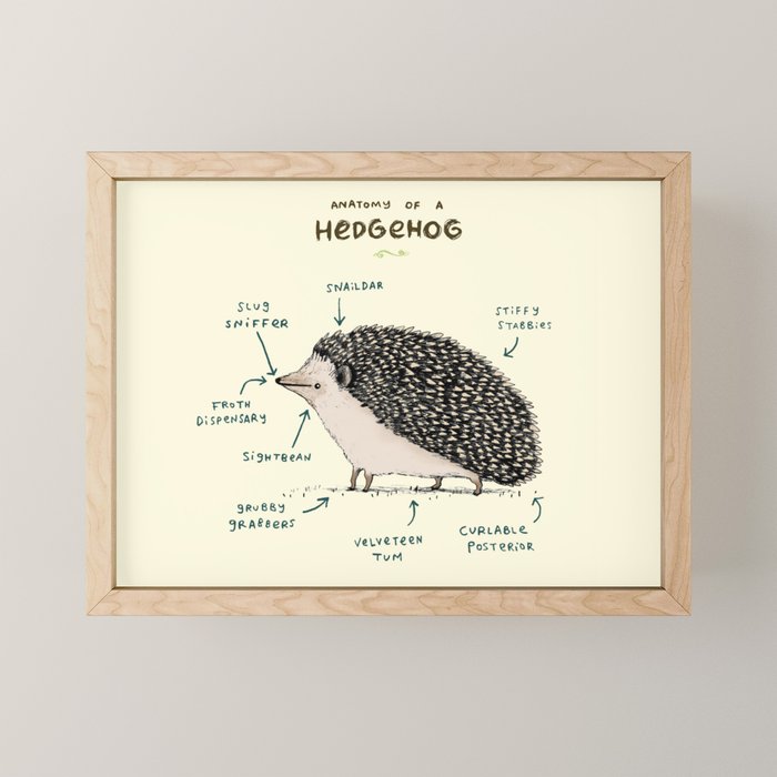 Anatomy of a Hedgehog Mini Art Print Gallery Image 1