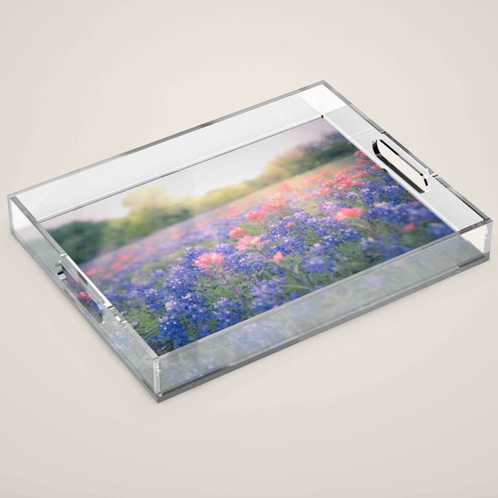 Texas Bluebonnets Acrylic Tray Gallery Image 1