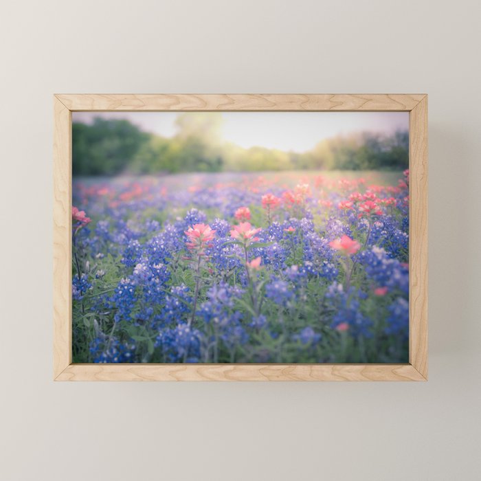 Texas Bluebonnets Mini Art Print Gallery Image 1