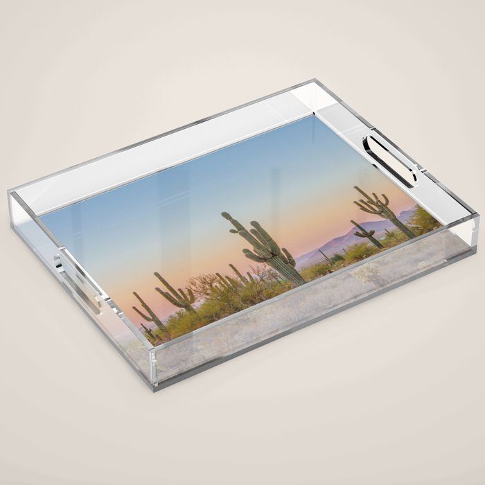 Desert / Scottsdale, Arizona Acrylic Tray Gallery Image 1