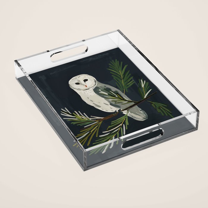Night Owl Acrylic Tray Gallery Image 1