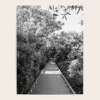 Sullivan's Island Boardwalk Poster Gallery Image 4