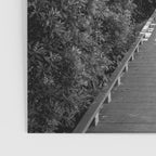 Sullivan's Island Boardwalk Poster Gallery Image 3
